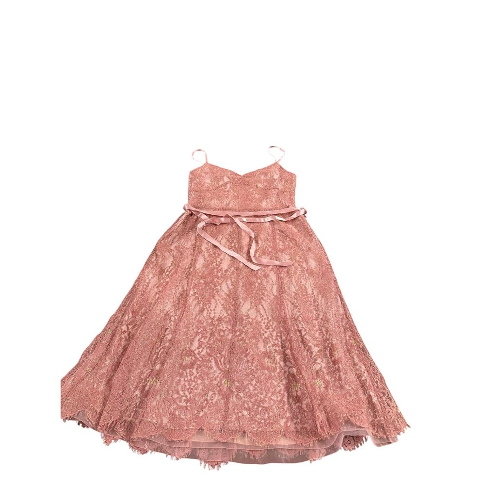 NWT Ann Taylor pink and gold metallic lace formal sash cocktail dress Size 4 - Picture 8 of 13